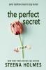 The Perfect Secret