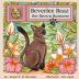 Beverlee Beaz the Brown Burmese