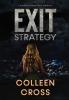 Exit Strategy: A Katerina Carter Fraud Legal Thriller: 1