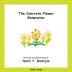 The Concrete Flower Generates: Book Seven