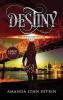 Destiny (Large Print Edition): The Owens Chronicles Book Two: 2