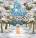 Life of Bailey: Bailey's First Winter: BOOK5