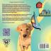 Life of Bailey: Collection of Books 123: BOOK4