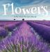 Flowers A No Text Picture Book: A Calming Gift for Alzheimer Patients and Senior Citizens Living With Dementia: 2 (Soothing Picture Books for the Heart and Soul)