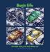 Bug's Life: The life story of one little car: 1 (Lifecycles)