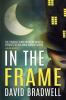 In The Frame: Series Prequel Mystery Novella - Anna Burgin Book 0