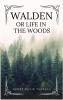 Walden: or Life in the Woods (Easy to Read Layout)