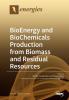 BioEnergy and BioChemicals Production from Biomass and Residual Resources