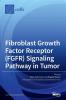 Fibroblast Growth Factor Receptor (FGFR) Signaling Pathway in Tumor