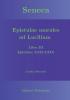 Seneca - Epistulae morales ad Lucilium - Liber III Epistulae XXII-XXIX: Latein/Deutsch