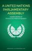 A United Nations Parliamentary Assembly: A policy review of Democracy Without Borders