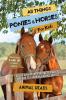 All Things Ponies & Horses For Kids: Filled With Plenty of Facts Photos and Fun to Learn all About Horses