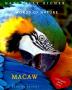 Macaw: Words of Nature: 2 (Love Learn Leave)