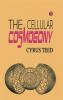 The Cellular Cosmogony