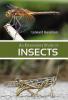 An Elementary Study of insects