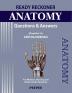 Ready Reckoner Anatomy