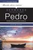 Sermones Actuales Sobre Pedro (Modern Sermons about Peter Spanish Edition): Homilías Sobre Los Evangelios Sinópticos