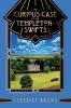 The Curious Case of the Templeton-Swifts: A 1920s Mystery: 6 (Lord Edgington Investigates...)