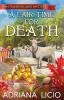 A Fair Time For Death: 2 (An Italian Village Mystery)