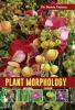 PLANT MORPHOLOGY