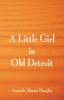 A Little Girl in Old Detroit