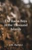 The Radio Boys in the Thousand Islands