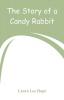 The Story of a Candy Rabbit