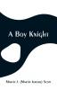 A Boy Knight