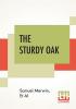 The Sturdy Oak