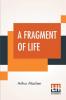 A Fragment Of Life