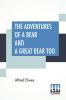 The Adventures Of A Bear And A Great Bear Too