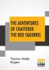 The Adventures Of Chatterer The Red Squirrel