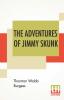 The Adventures Of Jimmy Skunk