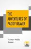 The Adventures Of Paddy Beaver