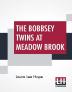 The Bobbsey Twins At Meadow Brook