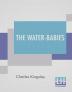 The Water-Babies