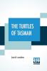 The Turtles Of Tasman