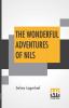 The Wonderful Adventures Of Nils