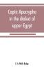 Coptic apocrypha in the dialect of upper Egypt