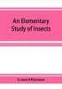 An Elementary Study of Insects