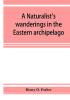 A naturalist's wanderings in the Eastern archipelago; a narrative of travel and exploration from 1878 to 1883