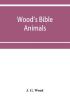 Wood's Bible animals