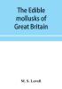 The edible mollusks of Great Britain and Ireland with recipes for cooking them