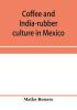 Coffee and india-rubber culture in Mexico; preceded by geographical and statistical notes on Mexico