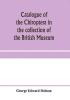 Catalogue of the Chiroptera in the collection of the British Museum