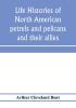 Life histories of North American petrels and pelicans and their allies