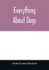 Everything about dogs