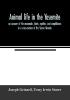 Animal life in the Yosemite; an account of the mammals birds reptiles and amphibians in a cross-section of the Sierra Nevada