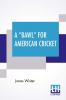 A Bawl For American Cricket