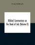 Biblical commentary on the Book of Job (Volume II)